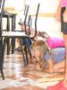 DSCN0584.JPG